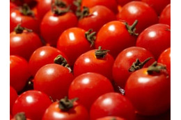 1000粒に1粒だけ。ワンランク上の高級トマトで上質なおうちご飯を 画像