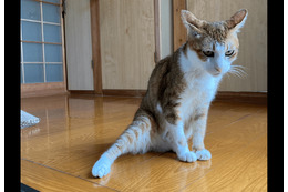 ニュース画像