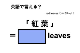 ニュース画像