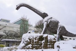 日本海側で大雪警戒 画像