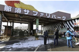 トラを飼育スペースに戻さず 画像