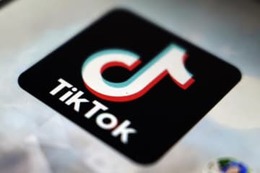 TikTok投稿に7600万円 画像