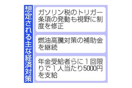 経済対策、トリガー発動も検討 画像