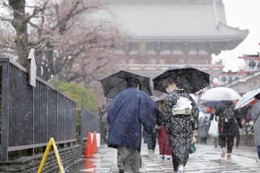 気温低下、平野部でも雪 画像