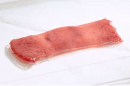 動物の筋細胞から初の「培養肉」 画像