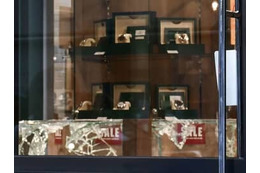 貴金属店で高級腕時計強盗、京都 画像