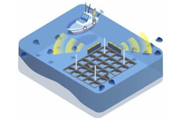 音波で魚群遠ざける技術を開発 画像