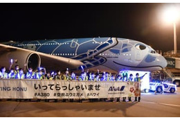 全日空のハワイ定期便が再開 画像
