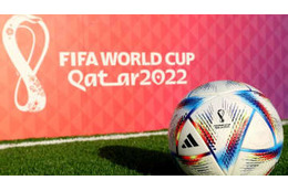 FIFA、W杯のロッカールームにカメラ設置を検討　生中継も 画像