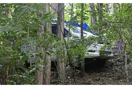 山中の車内に小学生2遺体、愛知 画像
