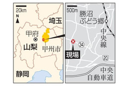 ブドウ狩り園に車突っ込む 画像