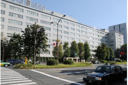 木材利用の助成金33％が不適切 画像