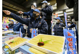おせち彩る「塩かずのこ」初競り 画像