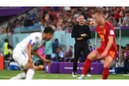 W杯中の性行為禁止はバカ！日本代表と戦うスペイン監督が力説 「私も妻と…」 画像