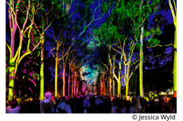 豪パースで新ナイトフェス「EverNow（エバーナウ）」光・音楽・ダンスなどが彩る幻想的な世界 画像
