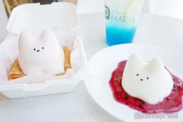 韓国発バズりスイーツ「猫プリン」って？ぷるぷる揺れる“かわいそ可愛い”動きが人気のヒミツ 画像
