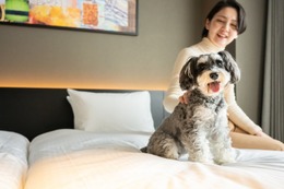 京都に愛犬と泊まれるホテル「hotel anddoggy京都二条」犬が走れるラウンジ＆カフェも併設 画像