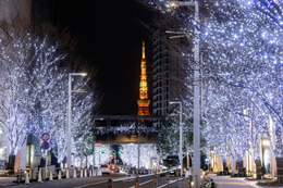 六本木ヒルズのクリスマス、“白銀の世界”約80万灯イルミ＆クリスマスマーケットで冬一色 画像