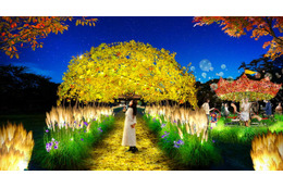 東京・小金井公園で幻想的な夜散歩 “16日間限定”ライトアップイベント開催 画像