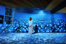 ホテルで春の絶景を堪能！茨城・BEB5土浦で“ネモフィラ”イベント開催 画像
