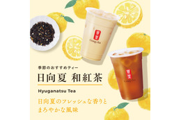 ゴンチャ季節限定「日向夏 和紅茶」初登場 まろやかなティー×フレッシュな香りのハーモニー 画像