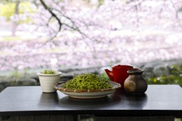 宇治川ビュー＆桜や紅葉も楽しめる！京都に粗挽き蕎麦店「茶兎里」誕生 画像