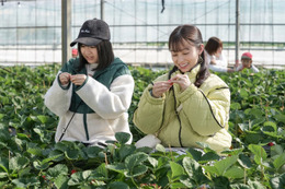 朝ドラ「おむすび」最終回、人気芸人のサプライズ登場に反響「地元の方きた」「急に出てきてびっくり」 画像