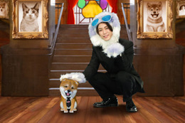 亀梨和也、独立後初レギュラーMC番組決定 犬の姿で登場【世界を救う！ワンにゃフル物語 柴と三毛と亀梨くん】 画像