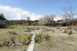 栃木「那須千本松牧場」“自然・食・ふれあい”楽しめる拠点に、リブランディングで魅力増進 画像