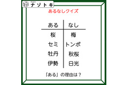 あるなしクイズです！「桜にあって梅にない！」答えは美味しいアレ！【難易度LV２.・甘口】