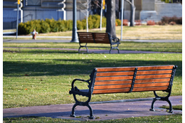 イギリスで…都会の公園を訪れた瞬間→日本では見られない光景に「異世界みたい」「すごい！」 画像