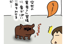 我が家の犬は、まるで「イキってる中学生」狂犬と見せかけて、実際は…【うちはおっぺけ 3姉妹といっしょ 10 #１】