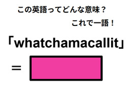 この英語ってどんな意味？「whatchamacallit」