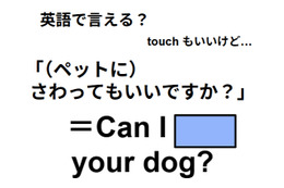 英語でどう言う？「(ペットに)さわってもいいですか？」