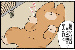 猫吸い休憩は1日2回までが決まり！ どうしても猫を吸いたくなったら？【ねこもんすたー スリスリ＃９】 画像