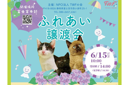 青木さやかさん参加！6/15（日）＠富士宮市「運命の家族にも出会うかも…？」仔猫・成猫・犬の譲渡会