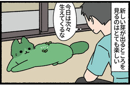 背中に次々と新芽が生えてくる！ 見るのが楽しくて、猫を観察してみたら？【ねこもんすたー スリスリ＃11】