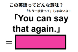 この英語ってどんな意味？「You can say that again. 」 画像