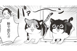 「子猫、永遠に見てられる」…里親になった子猫はわんぱく盛りに感慨…【借金1000万作曲家の人生を変えてくれた猫の話 #４】