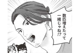 殺処分の猫を引き取りに？…猫愛が溢れすぎの男の運命に何が？【借金1000万作曲家の人生を変えてくれた猫の話 #６】 画像