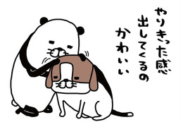 愛犬・梅吉14歳、オスのビーグル犬。トイレで「やりきった感」を出す？【パンダと犬 ＃１】 画像