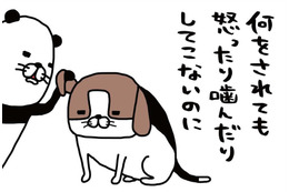 普段はおっとり愛犬・梅吉。唯一「野生の本性」をむき出しにするのは…【パンダと犬 ＃２】
