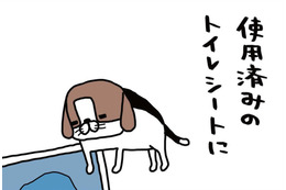 おもちゃで遊んだり、ほとんどしない愛犬。なのに、なぜトイレシートに反応?!【パンダと犬 ＃３】