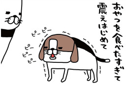 食いしん坊の愛犬・梅吉。「おやつを食べたすぎて」震え始めたその後に、まさかの…!!【パンダと犬 ＃５】