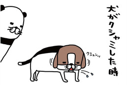 ジャーキーを食べる愛犬がかわいい思わず口に近づいてみると…【パンダと犬 ＃６】 画像