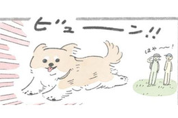 ドッグラン大好きむっく…他の犬にあいさつを…その後に待つことは?!【うちのむっくはいつも楽しそう #４】 画像
