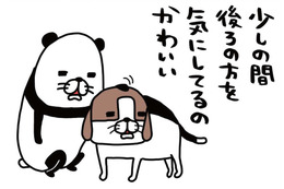 自分がした「おなら」の音にびっくり！愛犬・梅吉が少し後ろを確認してるのは、なぜ？【パンダと犬 ＃７】 画像