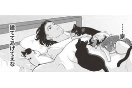 猫が遊べる「家」建てたい…飼い主を放っておかない猫ライフ？【借金1000万作曲家の人生を変えてくれた猫の話 #10】
