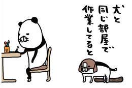犬と同じ部屋で「作業あるある」。自分のベッドで寝ないで…わざわざ愛犬が向かう場所は？【パンダと犬 ＃９】