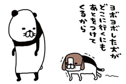 愛犬に洋服を着せてその間に手を入れてなでる…あたたかい【パンダと犬 ＃12】